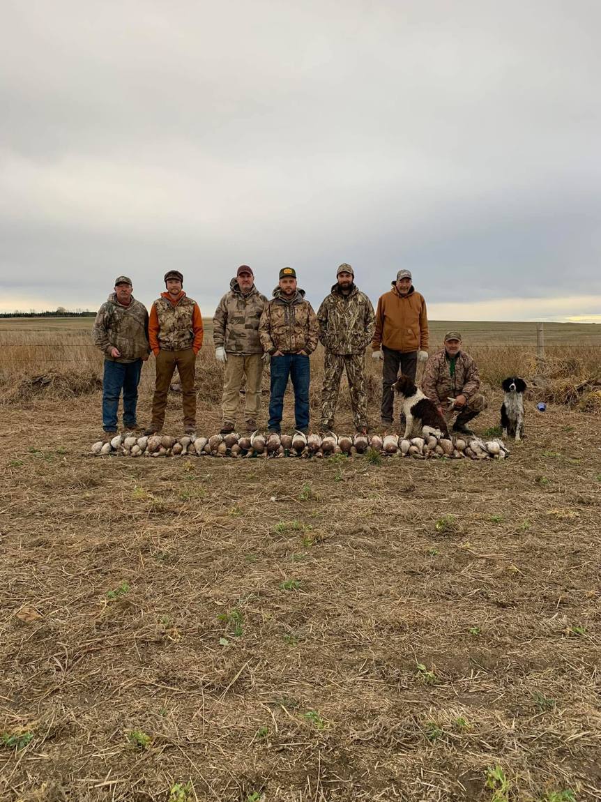 Hunting party with dogs and a morning of Alberta geese
