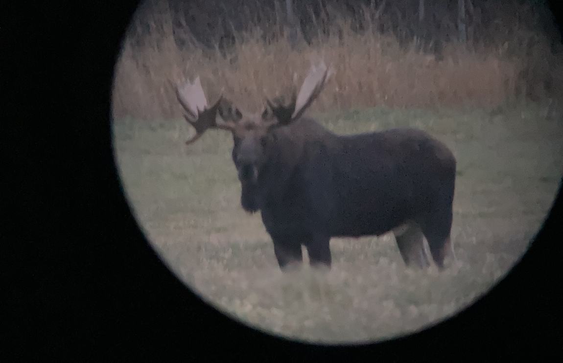 Zarichny Outfitting hunt photo