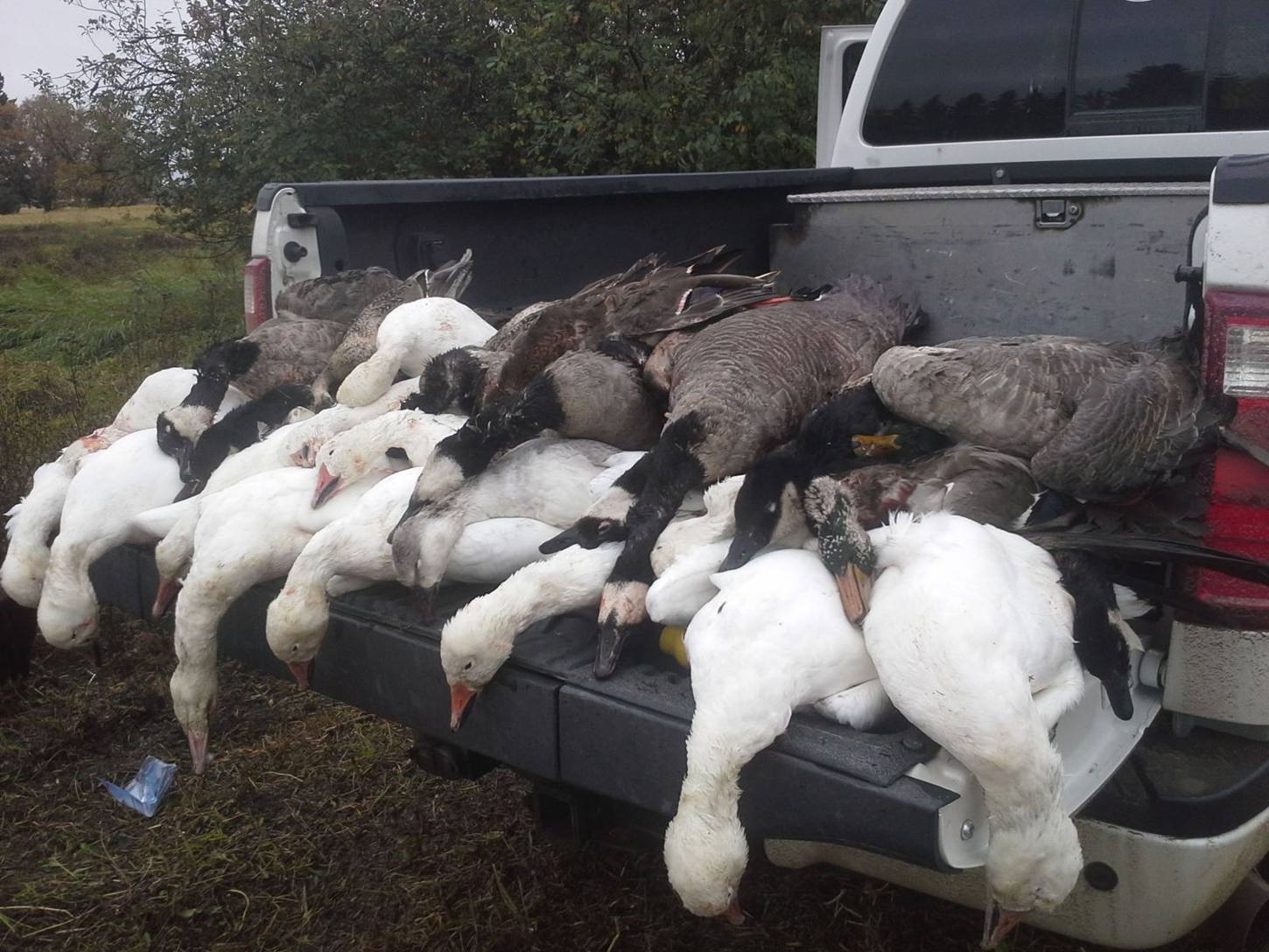 Zarichny Outfitting hunt photo